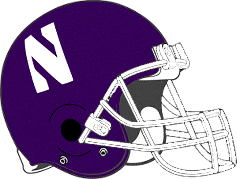 Northwestern Wildcats 1981-1992 Helmet Logo diy DTF decal sticker